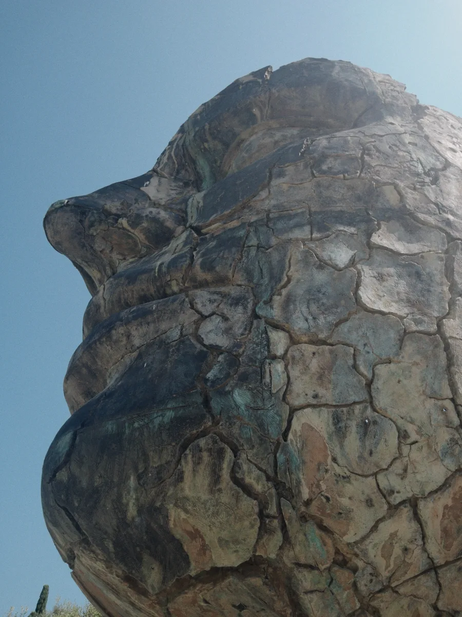 Dramatic close-up of the face of Tindaro Screpolato shot from below — the nose, cheek and jaw of Tyndareus reading as an eroded cliff of cracked bronze against a clear blue sky