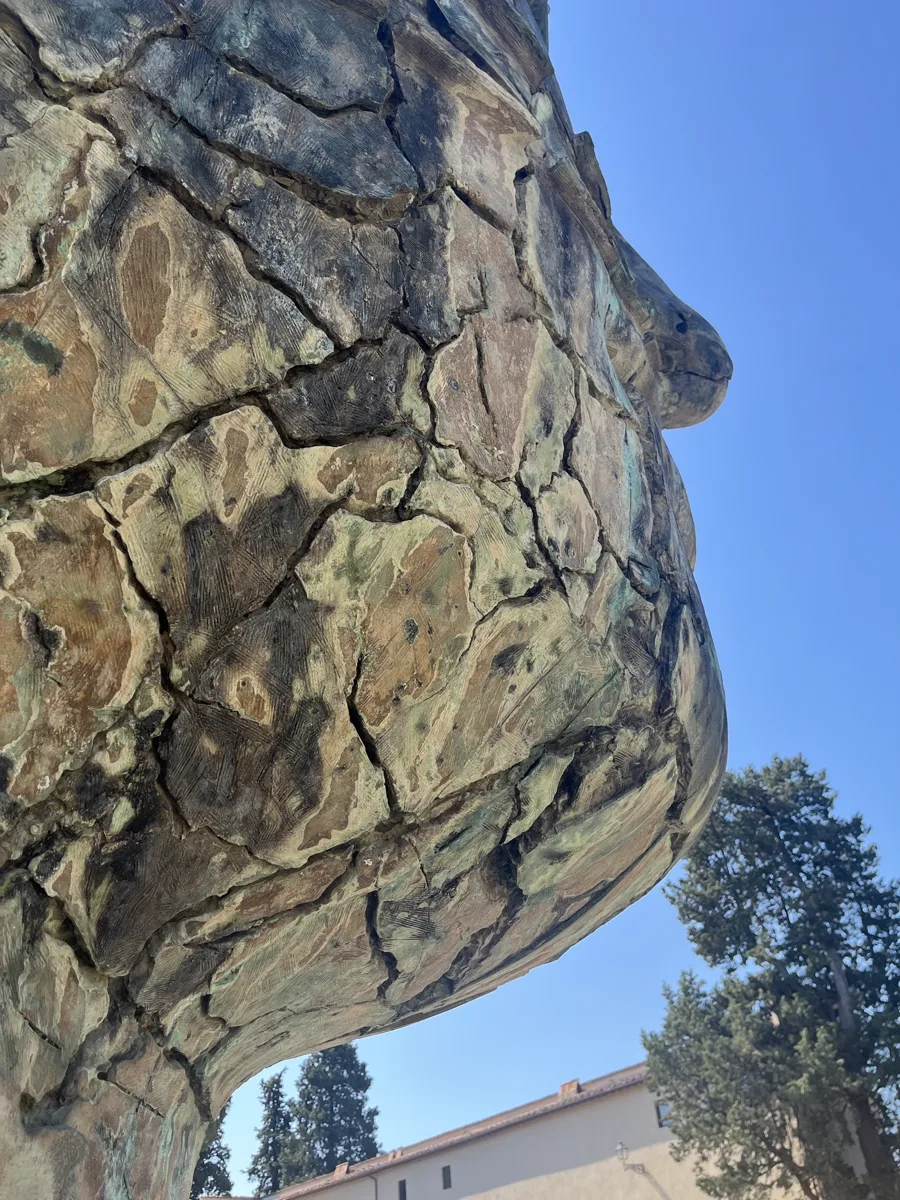 Upward view of the underside of the face of Tindaro Screpolato — the chin, jawline and cracked cheek looming against the sky, garden building visible at lower right